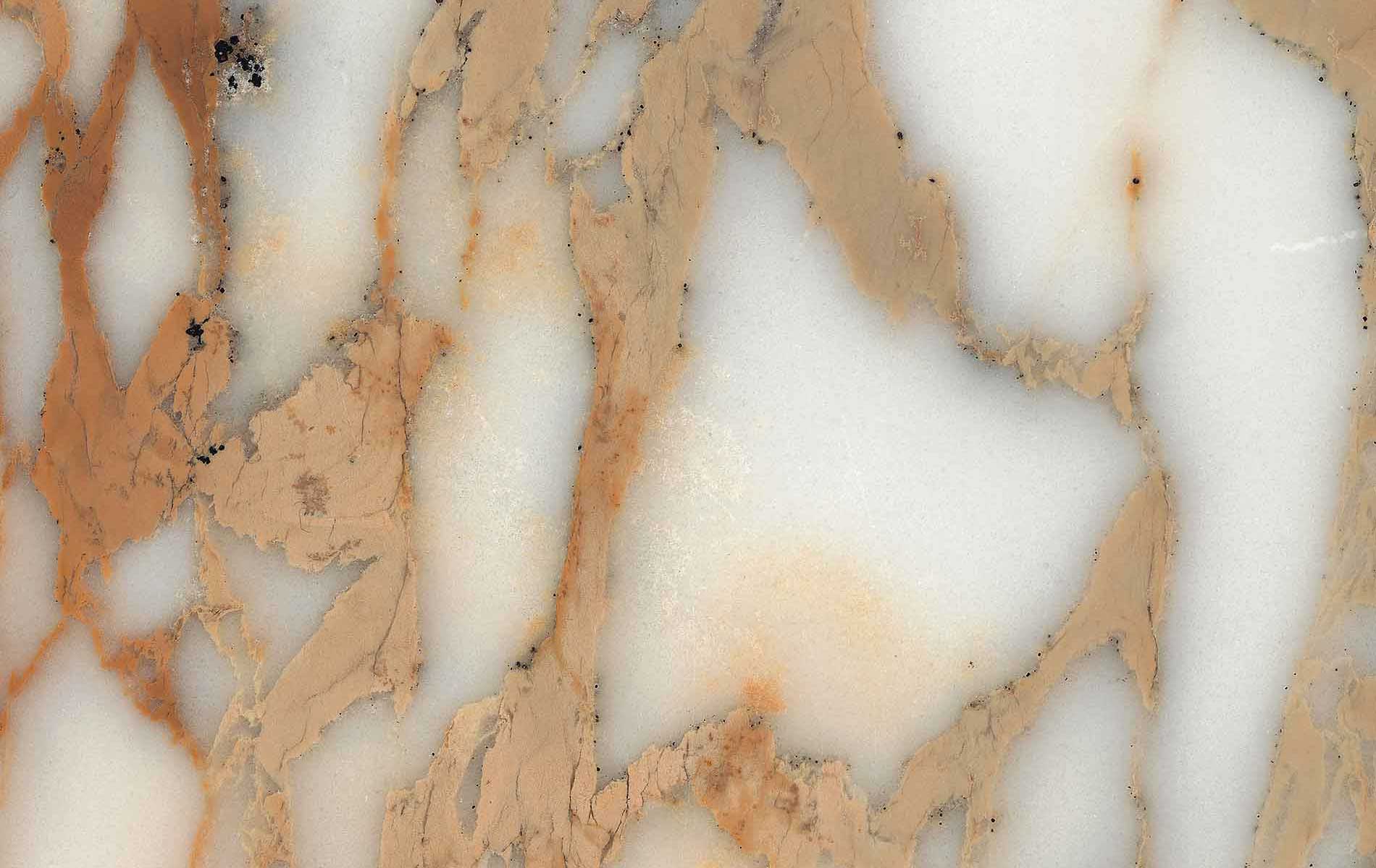 Zunino Marmi - Marmo Calacatta Oro