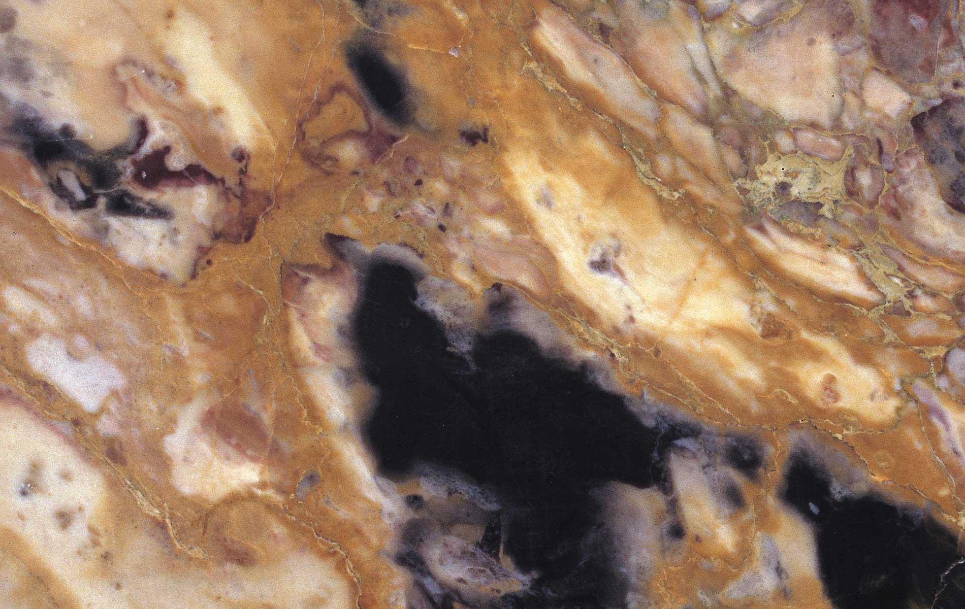 Zunino Marmi - Breccia di Bernau