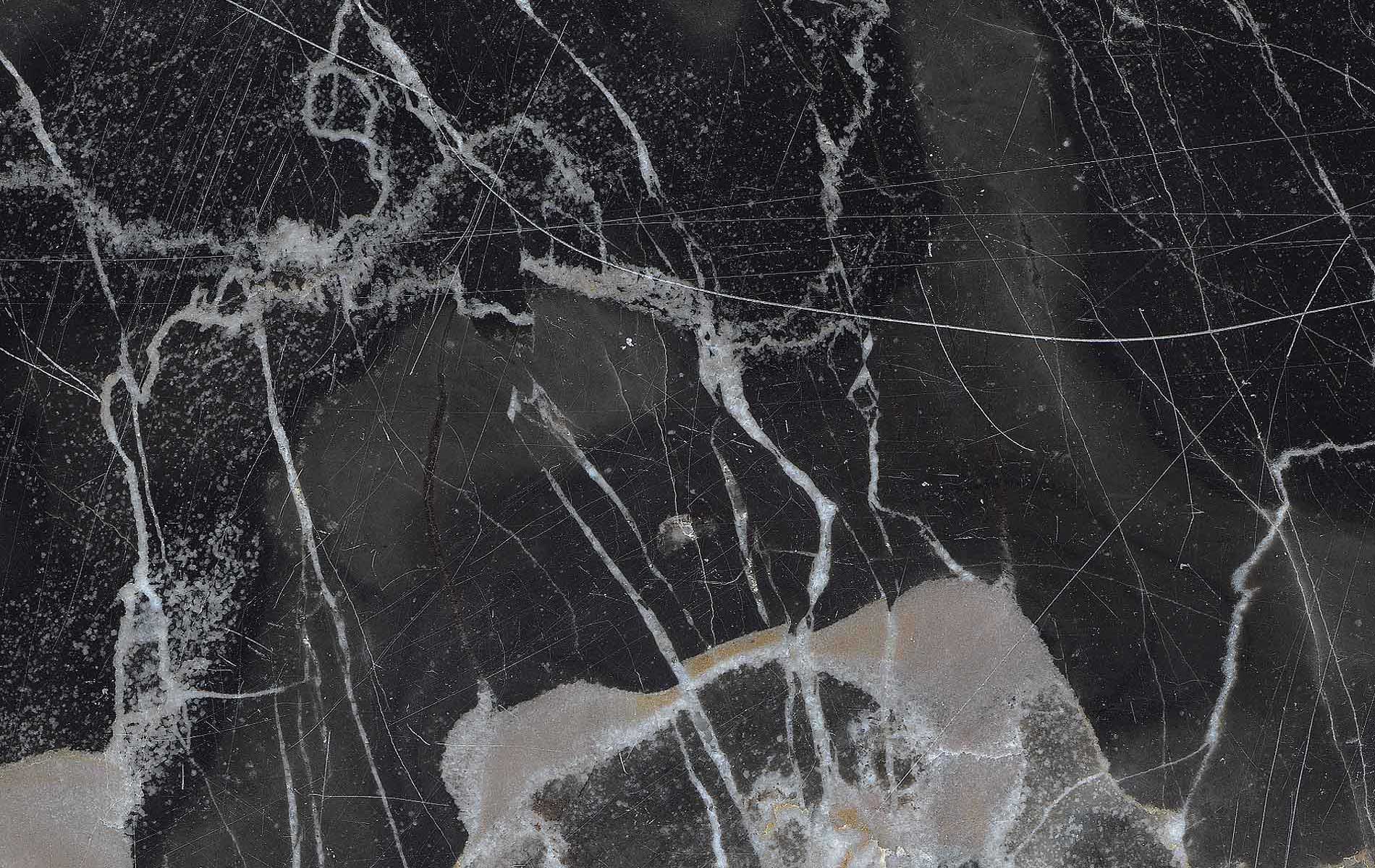 Zunino Marmi - Marmo Portora