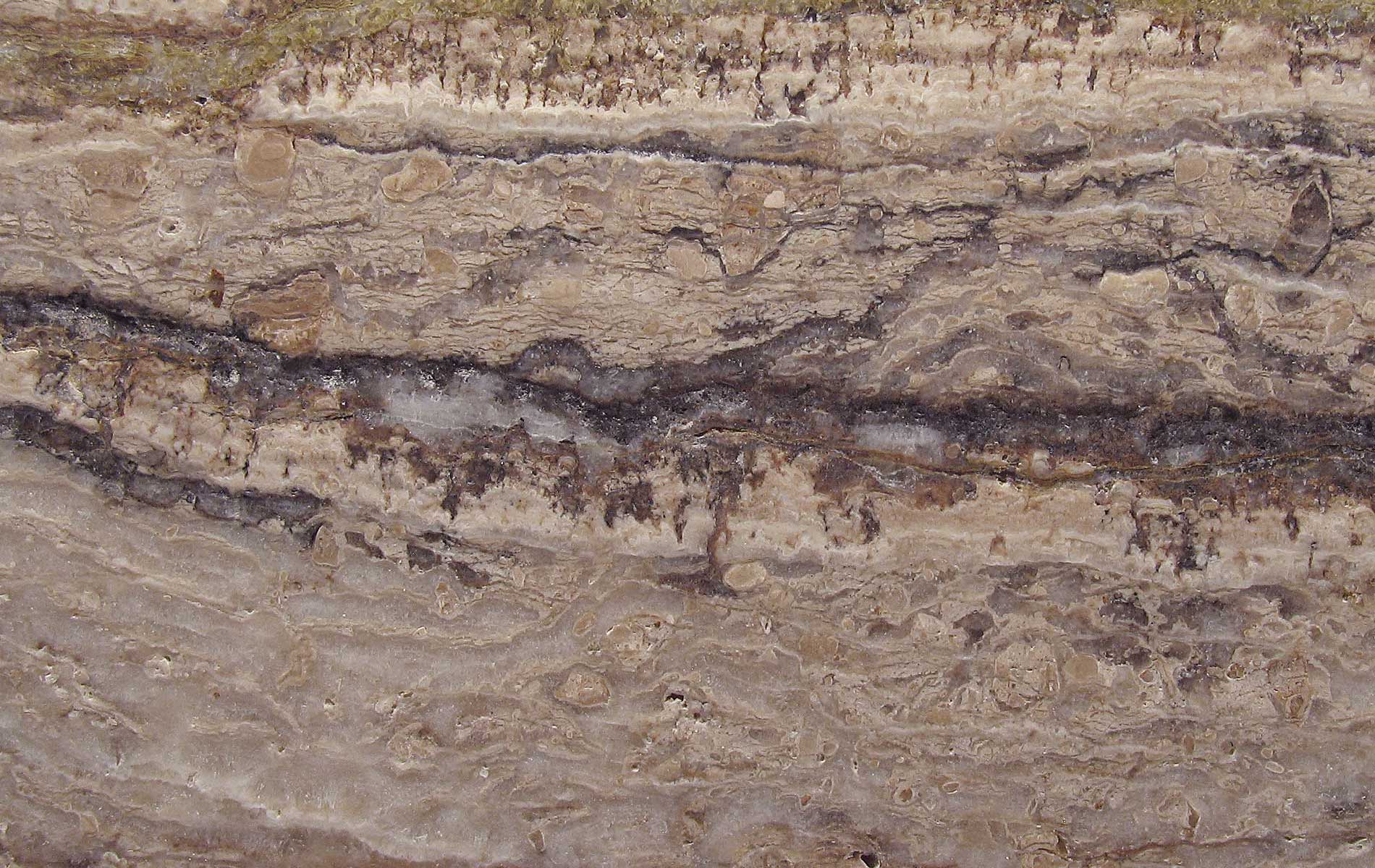 Zunino Marmi - Travertino Valnut